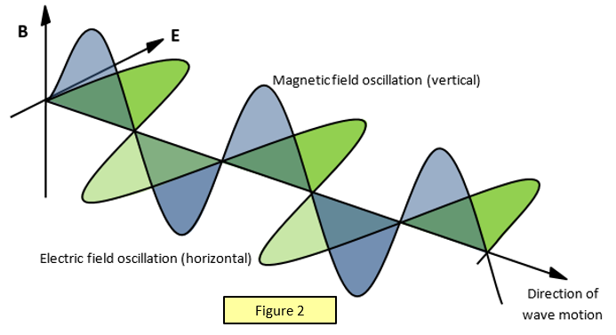 transverse nature of light wave supports